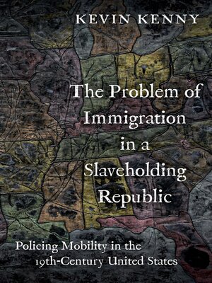 cover image of The Problem of Immigration in a Slaveholding Republic